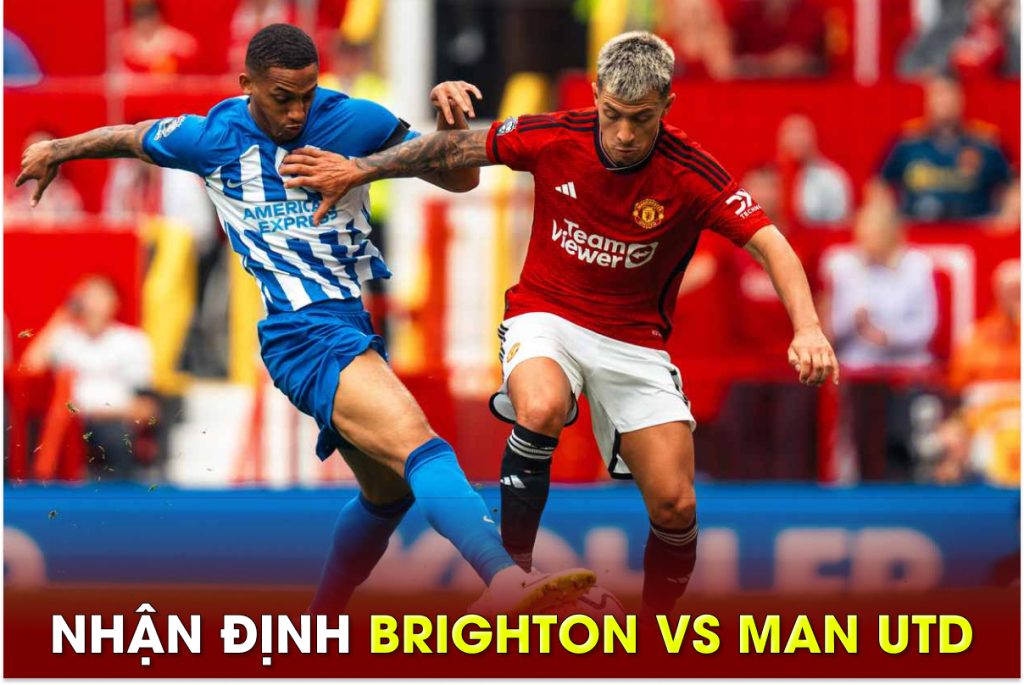 Nhận định Brighton vs Man City